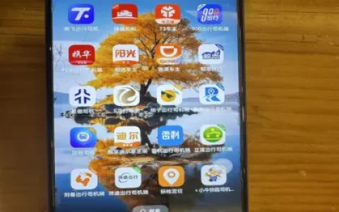 在“平台里的平台”拼命抢单，我才明白网约车为何越跑越穷